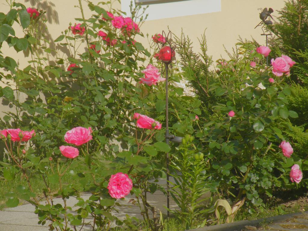 Am Lindenbaum Bed and Breakfast Sebnitz Buitenkant foto